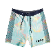  High Quality Wholesale Summer Clothing Beach Shorts Swim Trunks Custom Logo Men Swimwear