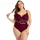 Fashion Womens Beach Wear Plus Size One-Piece Mesh Stitching Multicolor Suspenders Swimsuit Bathing Suit Wholesale Swimwear