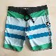  2023 Custom Male Beach Men Board Change Color Pants Changing Swim Trunks Shorts