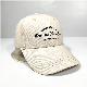  High Quality Plain 6 Panel 100% Cotton New Customize Baseball Caps Custom Embroidery Logo Design Logo Embroidered Sports Baseball Cap