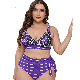  Lady Stripe Print Two Piece Swimsuit Bathing Suit Bikini Plus Size High Waist Knotted at Waist Wholesale Designer Swimwear