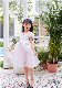  Summer Collection Popular Kids Girls Puff Sleeves Bow Tulle Party Princess Dress