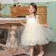  2020 New Arrival Lace Kids Dress Short Length Sleeves Kids Girl Flower Girls′ Party Dress