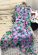  Dresses, Clothes, Crewneck Dresses, Silk Dresses
