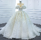  Lace off Shoulder Bridal Gowns Shimmer Princess Wedding Dresses H1399