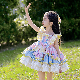  New Vest Girl′s Lolita Dress Cartoon Long Sleeveless Cute Princess Skirt