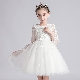  Wholesale Customized Girl′s Mesh Skirt Performance Garment Walk Show Evening Dress