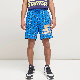  Mens Custom Printed and Embroidery Sport Short Pants