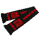  Sungnan Low MOQ Custom Logo Cheap Premium Acrylic Knit Wholesale Football Soccer Fan Scarf