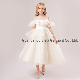  Wholesale Baby Clothes Girls Party Garment Ball Gown Dress Princess Champagne Party Dress
