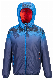  Lightweight Windproof Hooded Down Outdoor Jacket Kids Children′s Apparel Warm Jacket