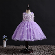  Children′ S Dress Princess Dress Evening Dress Sleeveless Tutu Skirt Flowergirl Dress