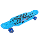  Portable Fishboard Print Four Wheel Flash Skateboard Board Skate