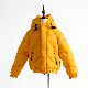 Children′s Fashion Windproof Down Coat OEM manufacturer