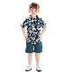  Summer Hot Sell Children′s Wear Boys′ Short Sleeve Printed Shirt Multicolor Two-Piece Sets