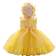  2021 Newborn Baby Wear Western Baby Wear Girls Party Garment Ball Gown Princess Frock Lace Sweet Dress