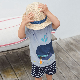  Summers Tshirt Shorts Sleeved Boys Clothing Wholesale Quality 100% Cotton Baby Boy Clothing Sets Tshirt and Shorts 2PCS Set
