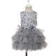 Lace Contrast Tutu Girls Lace Birthday Cake Dress Party Tulle Dresses