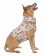  Spring Durable Soft Chenille Fleece Cream-Leopard Pet Dog Knitted Sweater