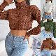  Real Shot 2023 Autumn and Winter Europe and The United States Leisure Twist Long-Sleeved High-Neck Crop Knitted Sweater Independent Station Cross-Border Women′s