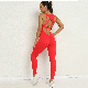  Designer Back Hollowing Women Summer Yoga Outfit Fitness Leggings Sexy Sleeveless Jumpsuit QS202368