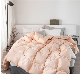 Home Hotel Bedding Goose Duck Feather Down Duvet, Quilt, Comforter