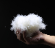  Japanese Standard 95% Washed White Duck Down Raw Materials Feather