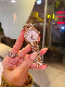  Ladies Watchw Holesale Replica Luxury Gift Copy Wrist Automatic Quartz Watches
