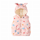  Wholesale Winter Hot Selling Latest Cartoon Children′s Down Cotton Hooded Vest
