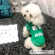  Hot Selling Luxury Warm Coat Letters Dog Winter Vest Pet Warm Jacke