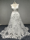  9003 Deep V Neckline Tulle Lace Wedding Dress with 70 Inch Train Mermaid Wedding Dresses Ceremonial Clothing with Hot Sale Style