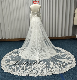  302sweetheart Neckline and Spaghetti Straps Wedding Dress with Detachable Long Sleeve Bridal Gown Dress with Detachable Long Train Mermaid Skirt Dress Wholesale