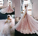 Short Sleeves Bridal Dresses Pink Lace Tulle Wedding Ball Gown ND06