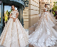  Lace Wedding Dresses Champagne Bridal Ball Gowns W1412