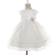  Popular Organza Baby Princess Birthday Dresses for Birthday Party