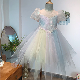  2024 New Fashion Rainbow Dresses Tutu Tulle Skirt with Pearl Sequins for Party Girls