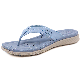 Fashionable Woman Outdoor Coastal Beach Leisure Flat Flip Flops manufacturer