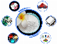  TiO2 Wholesale Price White Pigment Plastic/Paint/Paint/Rubber Titanium Dioxide