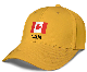  Fashion Customized Trucker Caps Sports Cap Canada Baseball Caps