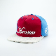Multicolor Cotton Snapback Hat with 3D Embroidery 5 Panel Flat Brim Fashion Hip Pop Baseball Cap manufacturer