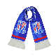 Custom Promotional Polyester Winter Warm Satin Football Soccer Sport Printing Scarf