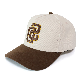  New Fashion Design 100% Cotton Fabric Audlt Baseball Cap