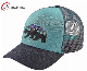  Embroidery Logo Promotion Sport Leisure Trucker Mesh Hat (65050099)