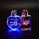  LED Crystal Laser Key Chain Key Ring