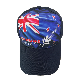 Trucker Hat Trucker Cap Outdoor Cap Summer Cap (BB1737)