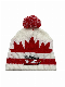  Acrylic High Quality Winter Jacquard Knitted POM-POM Beanie Hat
