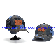  6 Panel Cycling Hunting Embroidered Patch Camo Hat Camouflage Caps