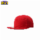  Flat Bill Acrylic Wool Hip Hop Cap Fashion Cap BSCI and Disney Fama Audit Factory and Trader