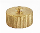  Marine Valve Brass Hose Cap 15A/25A with High Quality