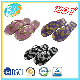  Hot Gold Printing Flip Flop for Lady Slippers